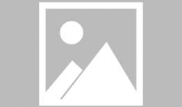 娱乐圈全员吃瓜小说,全民瓜田，谁主沉浮